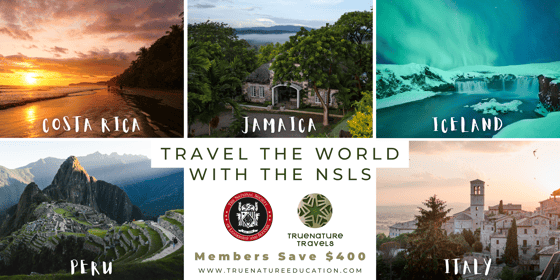 Partner Spotlight | True Nature Education | Travel the World with The NSLS | Costa Rica, Jamaica, Iceland, Peru, and Italy | Members save $400