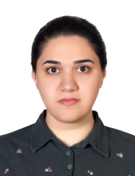 Fatemeh Ghafari