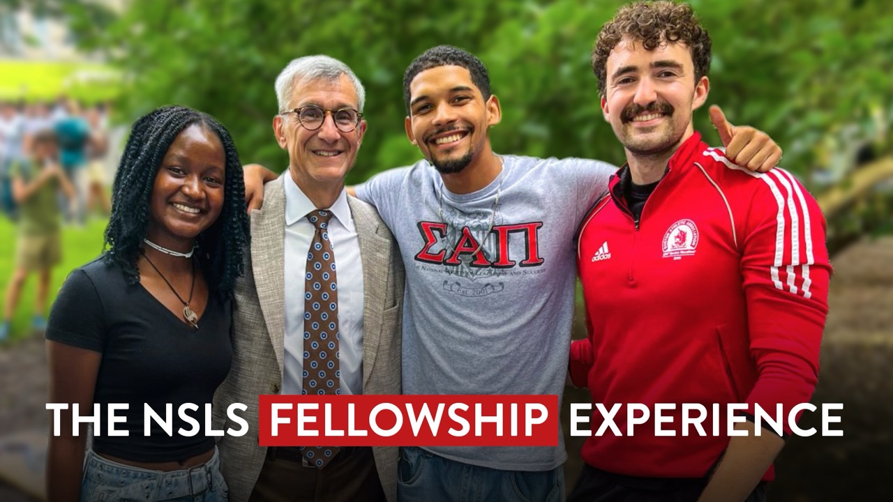 The NSLS Fellowship Experience