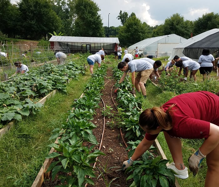 NSLS Leaders Give Back